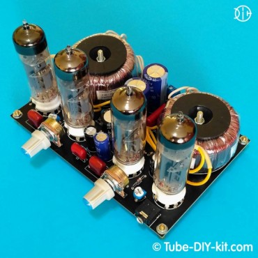 Electronic DIY kit: Tube SRPP stereo low frequency amplifier for computer